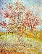 Peach Tree in Bloom Vincent Van Gogh